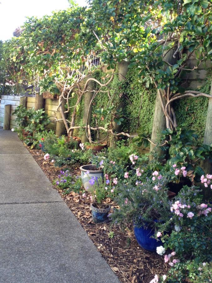 Absolute Waterfront Serenity Near Auckland Clarks Beach Экстерьер фото